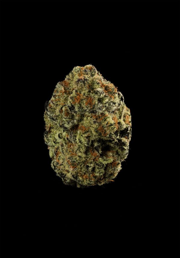 Jungle Cake